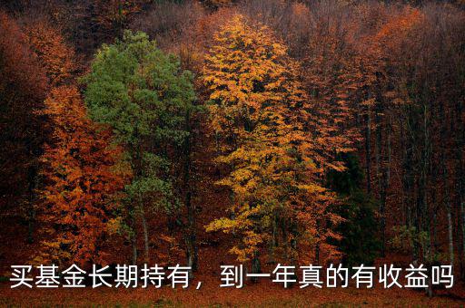 買基金長期持有，到一年真的有收益嗎
