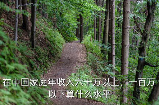 在中國家庭年收入六十萬以上，一百萬以下算什么水平