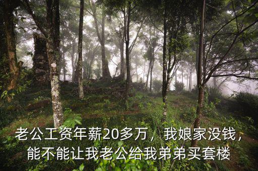 老公工資年薪20多萬(wàn)，我娘家沒(méi)錢(qián)，能不能讓我老公給我弟弟買(mǎi)套樓