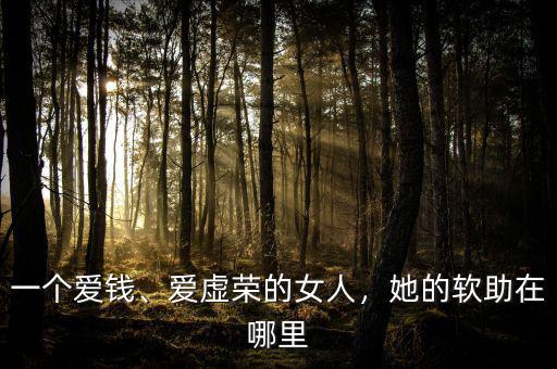 一個(gè)愛錢、愛虛榮的女人，她的軟助在哪里