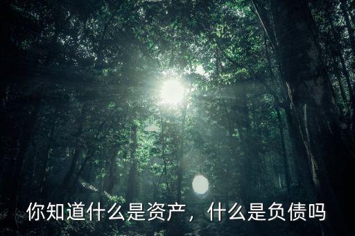 你知道什么是資產(chǎn)，什么是負(fù)債嗎