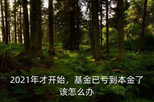2021年才開始，基金已虧到本金了該怎么辦