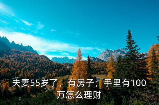 夫妻55歲了，有房子，手里有100萬怎么理財