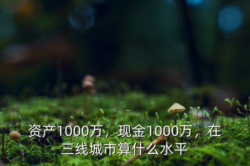 資產(chǎn)1000萬，現(xiàn)金1000萬，在三線城市算什么水平