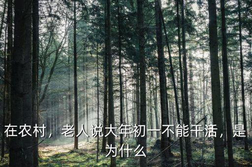 在農(nóng)村，老人說大年初一不能干活，是為什么