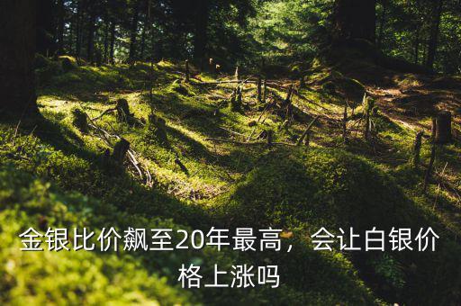 金銀比價飆至20年最高，會讓白銀價格上漲嗎
