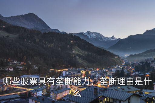 哪些股票具有壟斷能力，壟斷理由是什么