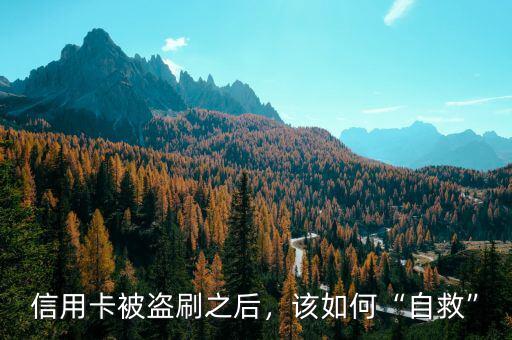 信用卡被盜刷之后，該如何“自救”