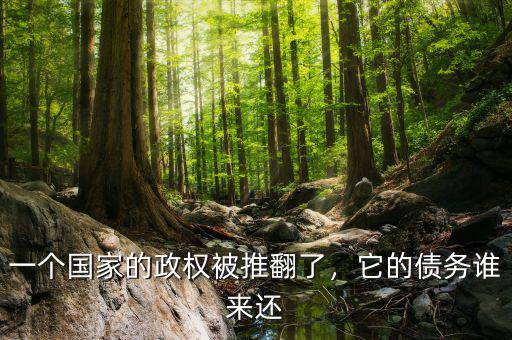 一個國家的政權被推翻了，它的債務誰來還