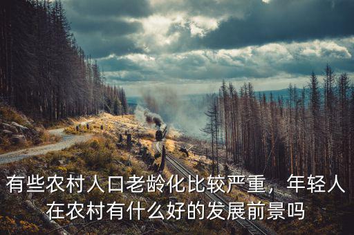 有些農(nóng)村人口老齡化比較嚴(yán)重，年輕人在農(nóng)村有什么好的發(fā)展前景嗎