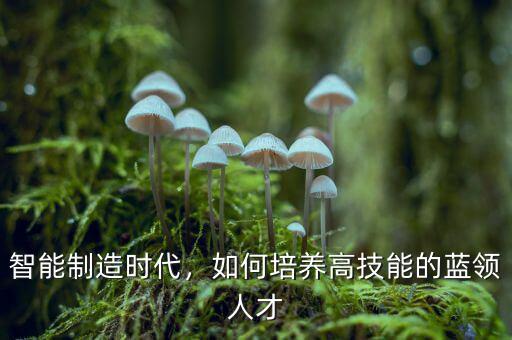 智能制造時代，如何培養(yǎng)高技能的藍(lán)領(lǐng)人才