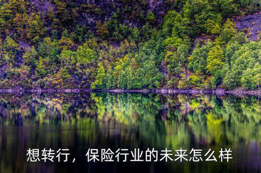 想轉(zhuǎn)行，保險行業(yè)的未來怎么樣