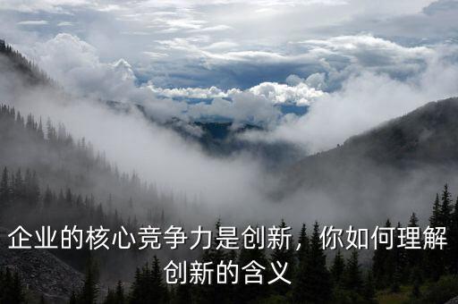 企業(yè)的核心競爭力是創(chuàng)新，你如何理解創(chuàng)新的含義
