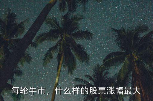 每輪牛市，什么樣的股票漲幅最大