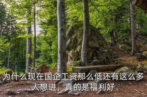 為什么現(xiàn)在國企工資那么低還有這么多人想進(jìn)，真的是福利好