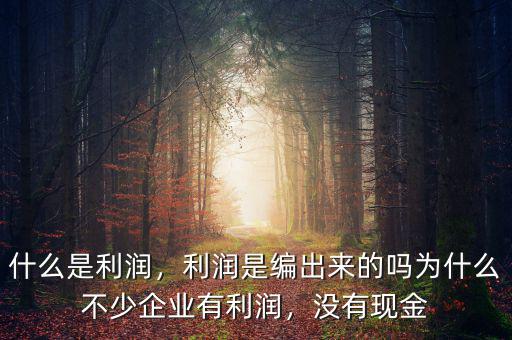 什么是利潤(rùn)，利潤(rùn)是編出來(lái)的嗎為什么不少企業(yè)有利潤(rùn)，沒(méi)有現(xiàn)金