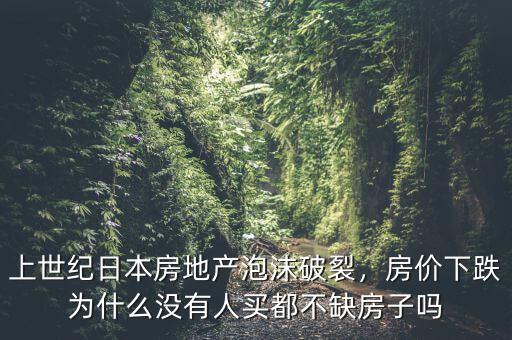 上世紀(jì)日本房地產(chǎn)泡沫破裂，房價(jià)下跌為什么沒有人買都不缺房子嗎