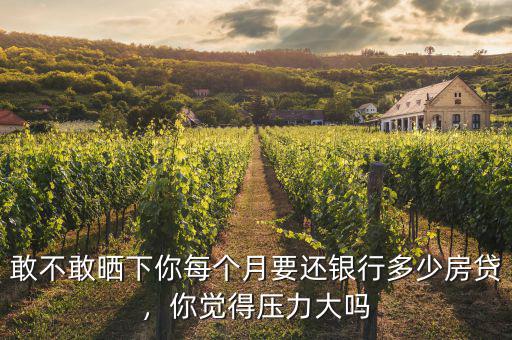 敢不敢曬下你每個月要還銀行多少房貸，你覺得壓力大嗎