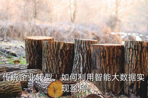 傳統(tǒng)企業(yè)轉(zhuǎn)型，如何利用智能大數(shù)據(jù)實(shí)現(xiàn)盈利