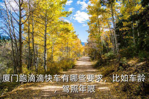 廈門跑滴滴快車有哪些要求，比如車齡，駕照年限
