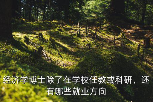 經(jīng)濟學(xué)博士除了在學(xué)校任教或科研，還有哪些就業(yè)方向