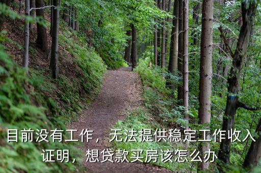 目前沒有工作，無法提供穩(wěn)定工作收入證明，想貸款買房該怎么辦
