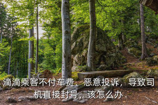 滴滴乘客不付車費(fèi)、惡意投訴，導(dǎo)致司機(jī)直接封號(hào)，該怎么辦