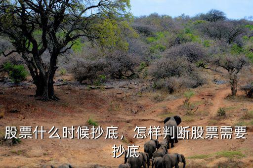 股票什么時(shí)候抄底，怎樣判斷股票需要抄底