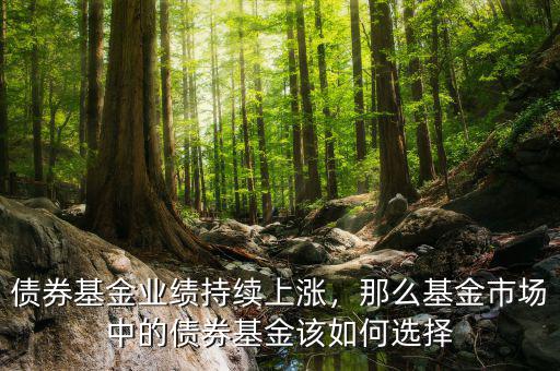 債券基金業(yè)績持續(xù)上漲，那么基金市場中的債券基金該如何選擇