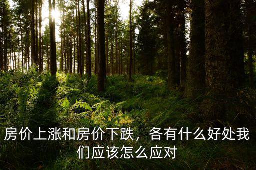 房價上漲和房價下跌，各有什么好處我們應該怎么應對