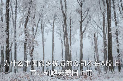 不盈利為什么能在美國上市,卻在美國上市。為什么