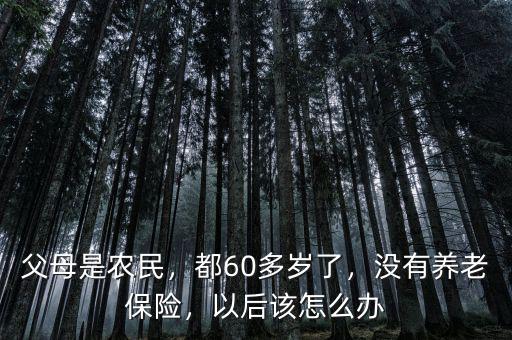 父母是農(nóng)民，都60多歲了，沒有養(yǎng)老保險，以后該怎么辦
