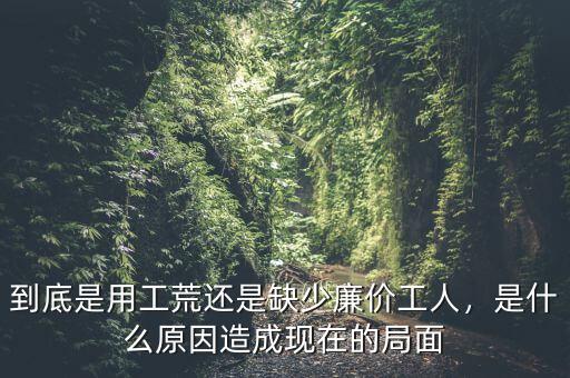 到底是用工荒還是缺少廉價(jià)工人，是什么原因造成現(xiàn)在的局面