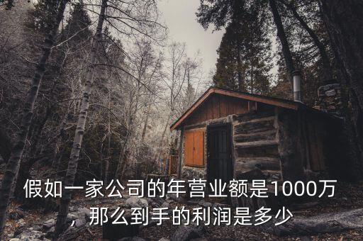 如果4000萬產值利潤有多少,100萬大概能盈利多少