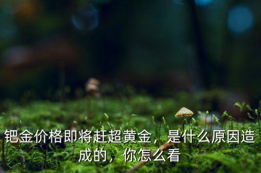 鈀金價(jià)格即將趕超黃金，是什么原因造成的，你怎么看