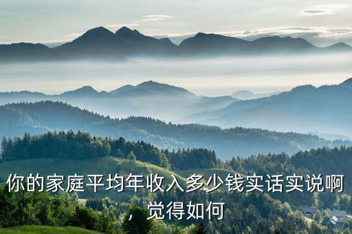 你的家庭平均年收入多少錢實話實說啊，覺得如何