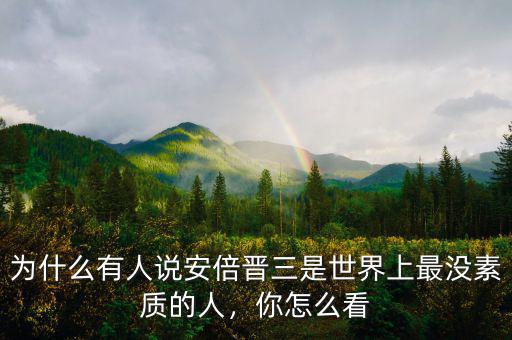 為什么有人說安倍晉三是世界上最沒素質(zhì)的人，你怎么看
