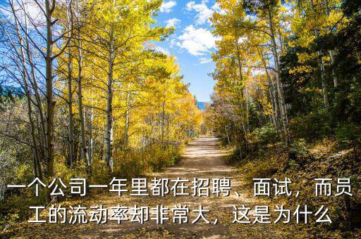 一個(gè)公司一年里都在招聘、面試，而員工的流動(dòng)率卻非常大，這是為什么