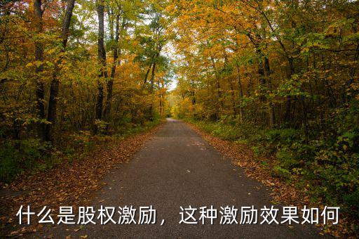什么是股權(quán)激勵，這種激勵效果如何