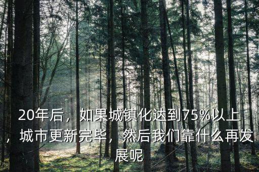 20年后，如果城鎮(zhèn)化達到75%以上，城市更新完畢，然后我們靠什么再發(fā)展呢