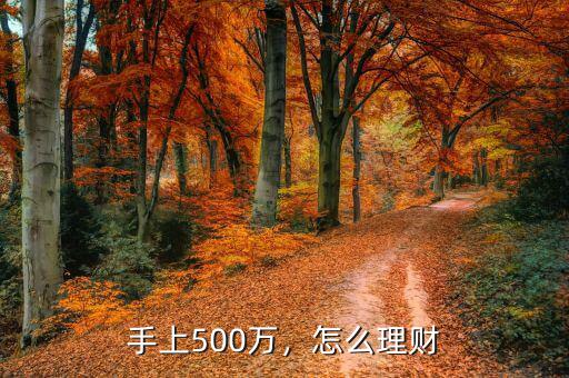 手上500萬，怎么理財
