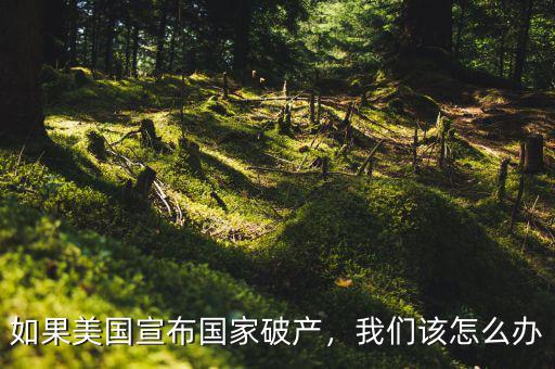 如果美國宣布國家破產(chǎn)，我們該怎么辦
