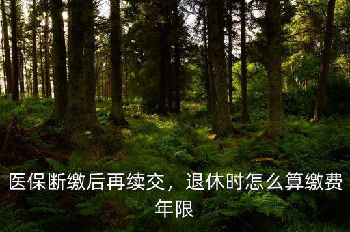 醫(yī)保斷繳后再續(xù)交，退休時(shí)怎么算繳費(fèi)年限
