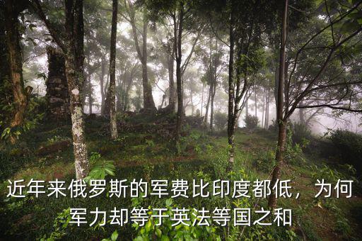 近年來俄羅斯的軍費(fèi)比印度都低，為何軍力卻等于英法等國之和