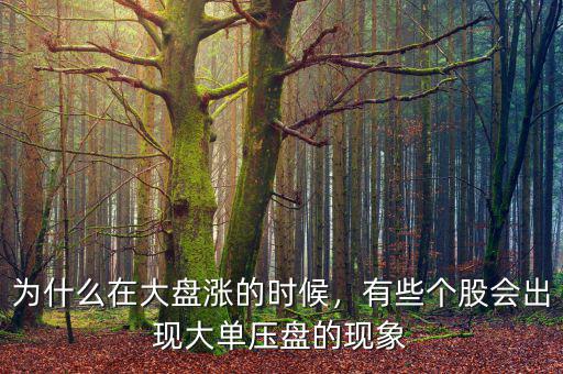 為什么在大盤漲的時(shí)候，有些個(gè)股會(huì)出現(xiàn)大單壓盤的現(xiàn)象