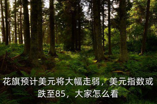 花旗預(yù)計美元將大幅走弱，美元指數(shù)或跌至85，大家怎么看