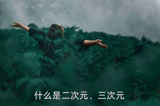什么是二次元、三次元