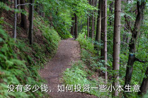 沒(méi)有多少錢，如何投資一些小本生意