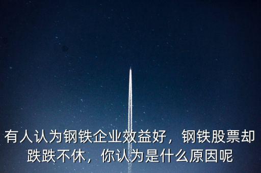 有人認為鋼鐵企業(yè)效益好，鋼鐵股票卻跌跌不休，你認為是什么原因呢