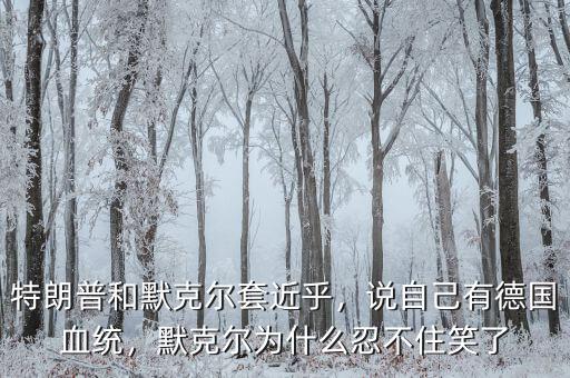 特朗普和默克爾套近乎，說(shuō)自己有德國(guó)血統(tǒng)，默克爾為什么忍不住笑了